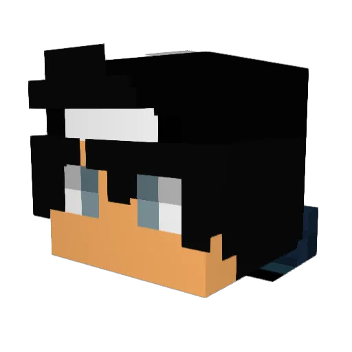 reallywilly1 Minecraft avatar head, 3D render