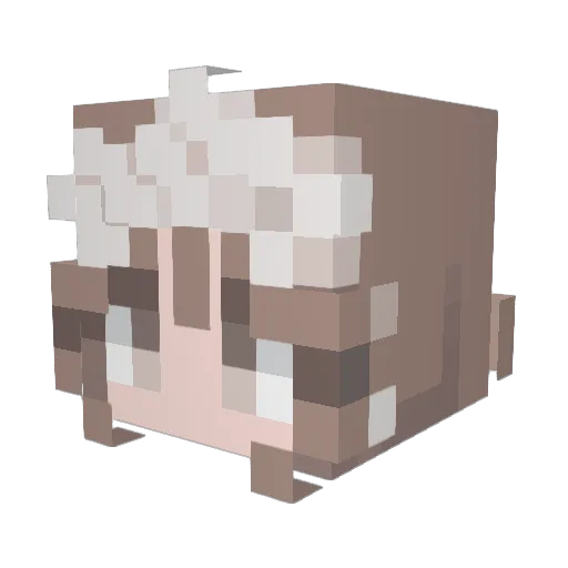 realrock21 Minecraft avatar head, 3D render
