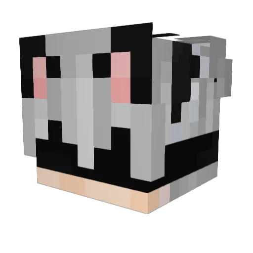 realsweqs Minecraft avatar head, 3D render