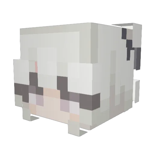 reameadd Minecraft avatar head, 3D render