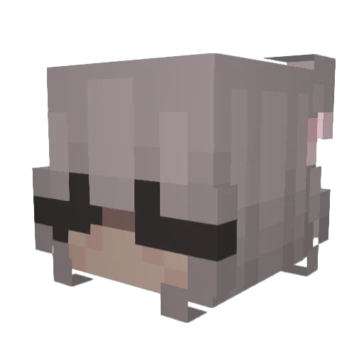 reawa Minecraft avatar head, 3D render