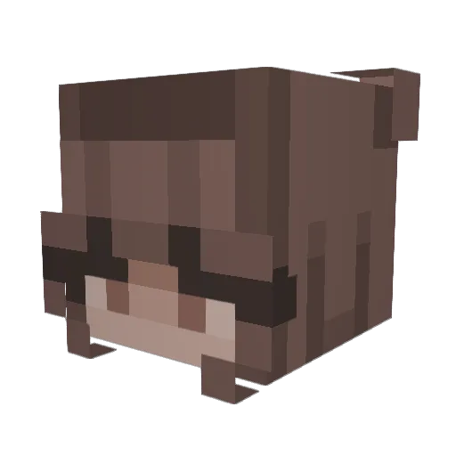 reb_3e Minecraft avatar head, 3D render
