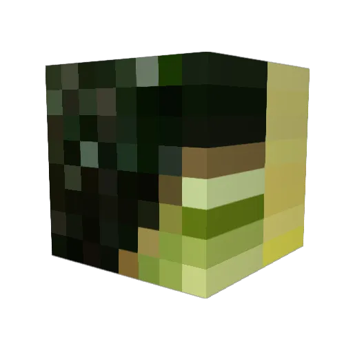 rebejko Minecraft avatar head, 3D render
