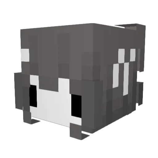 rebolei Minecraft avatar head, 3D render