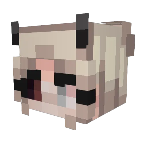 rebootmcc Minecraft avatar head, 3D render