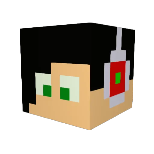 rebornbubbles Minecraft avatar head, 3D render