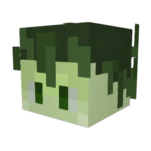 recc_ Minecraft avatar head, 3D render