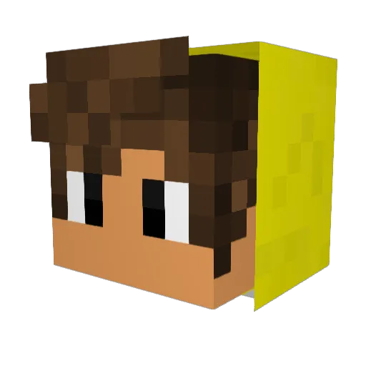 recclsat Minecraft avatar head, 3D render