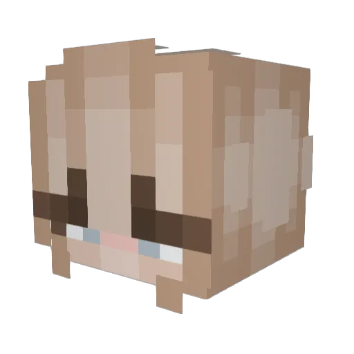 rechardroman Minecraft avatar head, 3D render