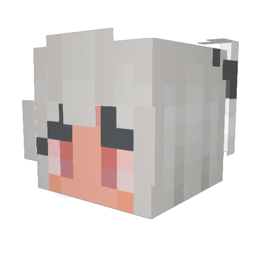 rechen23 Minecraft avatar head, 3D render