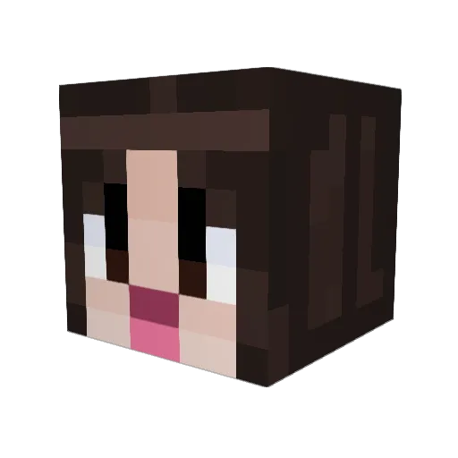 rechtard Minecraft avatar head, 3D render