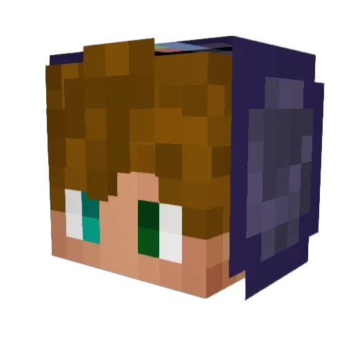 reckless_foxx Minecraft avatar head, 3D render