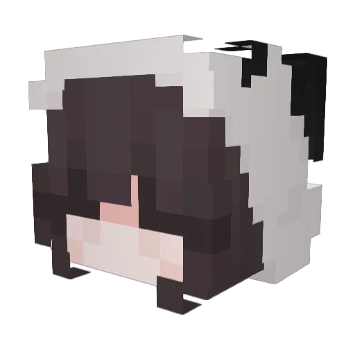 recklessbaby95 Minecraft avatar head, 3D render