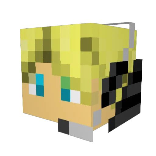 recklessguy007 Minecraft avatar head, 3D render