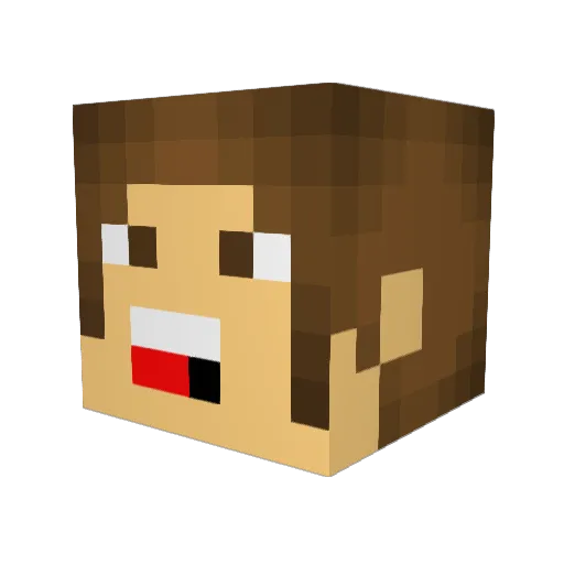 reclusive_miner Minecraft avatar head, 3D render