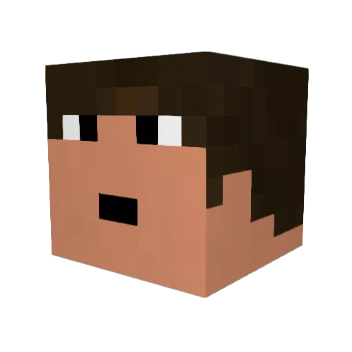 recteur Minecraft avatar head, 3D render