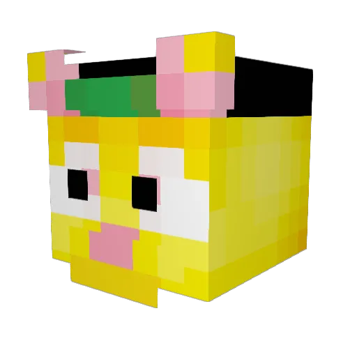 rector196 Minecraft avatar head, 3D render