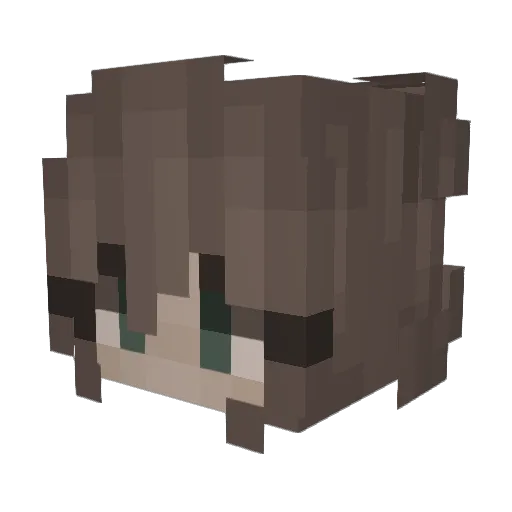 rectumpiercing Minecraft avatar head, 3D render