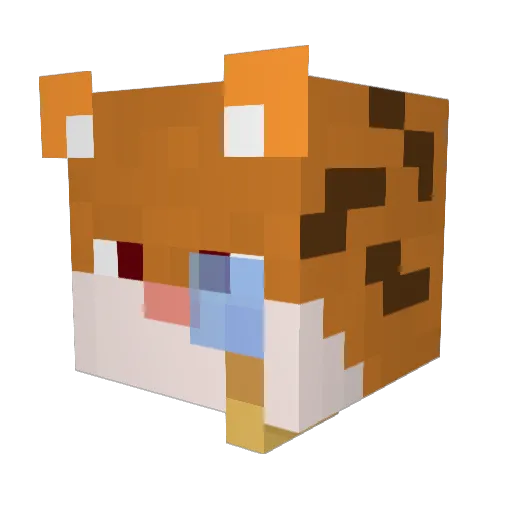 red_cat281 Minecraft avatar head, 3D render