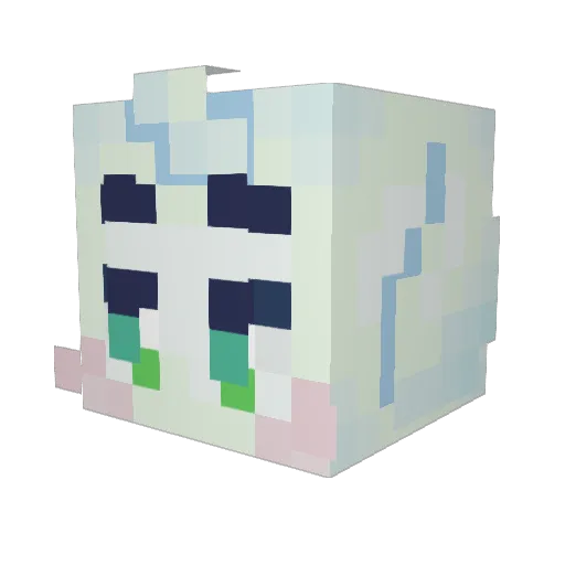red_ryder1 Minecraft avatar head, 3D render