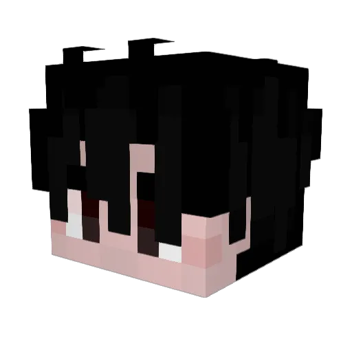 redaka_ Minecraft avatar head, 3D render