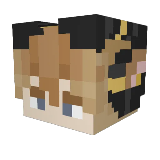 redasdragon77 Minecraft avatar head, 3D render