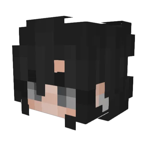 redbeanbuno Minecraft avatar head, 3D render