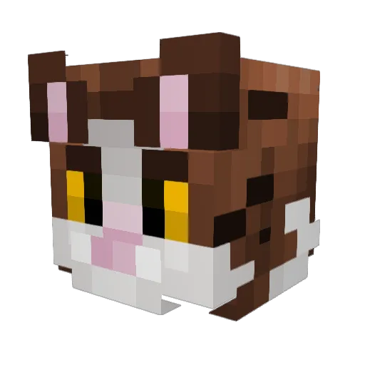 redblade24 Minecraft avatar head, 3D render