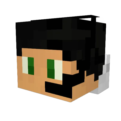 redburned Minecraft avatar head, 3D render