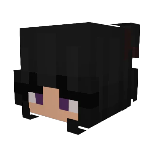 reddingswastaken Minecraft avatar head, 3D render