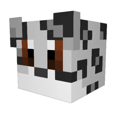 reddu89 Minecraft avatar head, 3D render