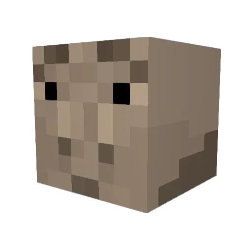 redeemdtoothbrus Minecraft avatar head, 3D render