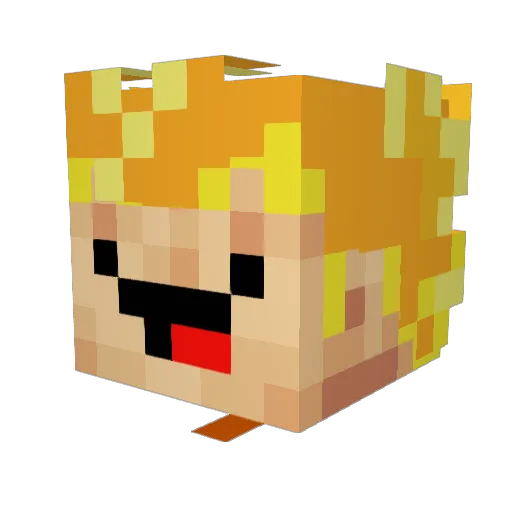 redeyejedi222 Minecraft avatar head, 3D render