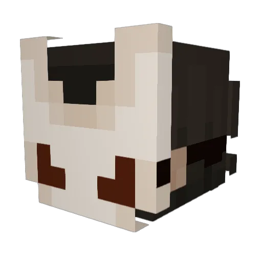 redfirefox55 Minecraft avatar head, 3D render