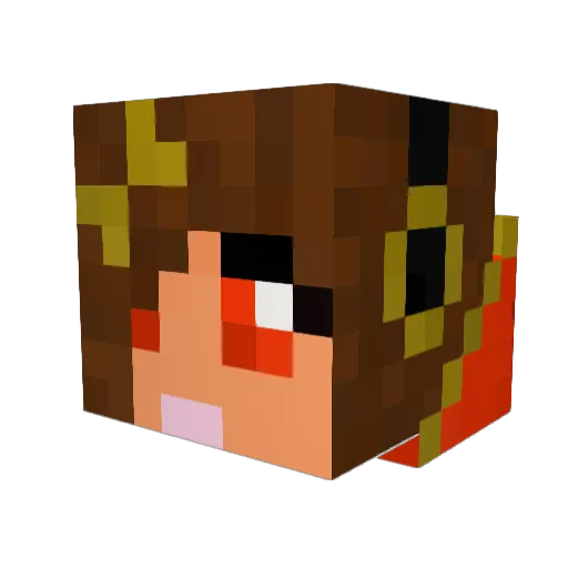 redfox749 Minecraft avatar head, 3D render