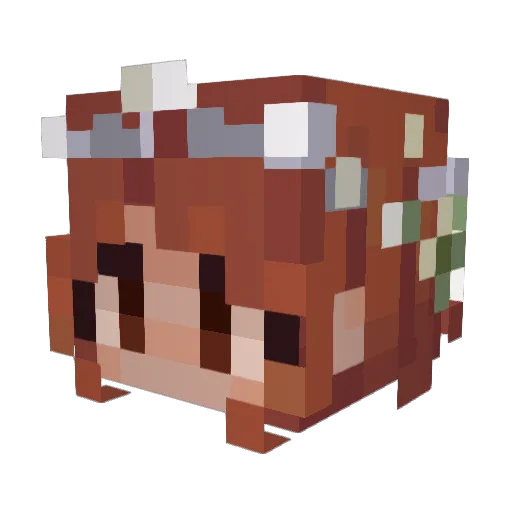 redheaddeafie02 Minecraft avatar head, 3D render