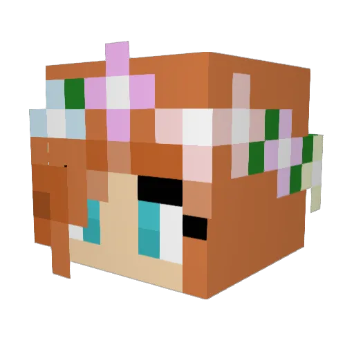 redinthehood Minecraft avatar head, 3D render