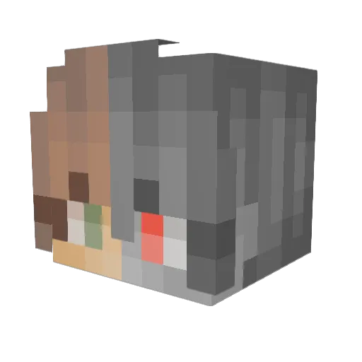 redknight0401 Minecraft avatar head, 3D render