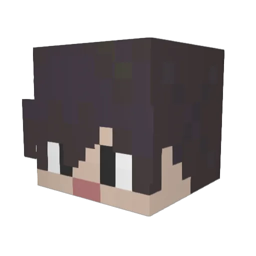 redmoonbluesky Minecraft avatar head, 3D render