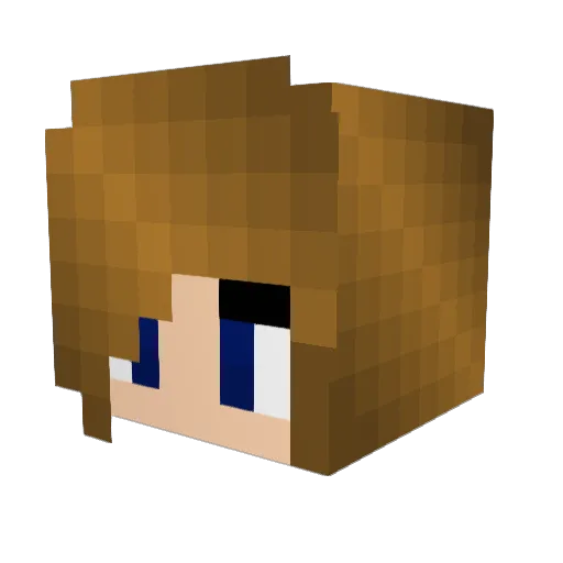 redneck0225 Minecraft avatar head, 3D render