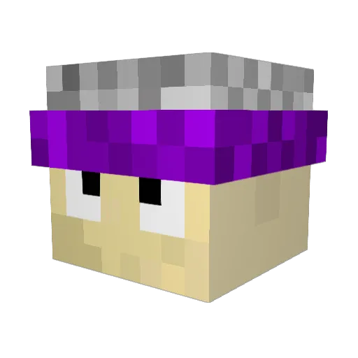 redneck164 Minecraft avatar head, 3D render