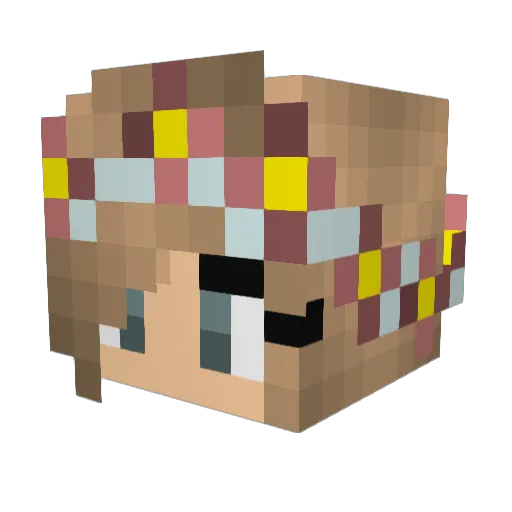 redpanda63 Minecraft avatar head, 3D render