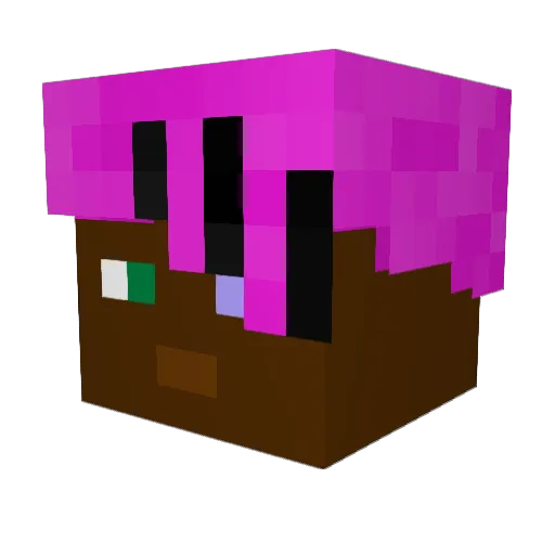 redpikmin5 Minecraft avatar head, 3D render