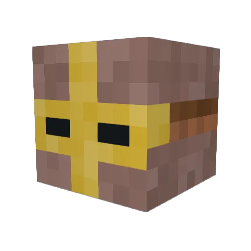 redrader2311 Minecraft avatar head, 3D render