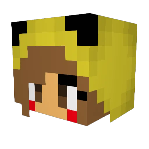 redrainbow106 Minecraft avatar head, 3D render
