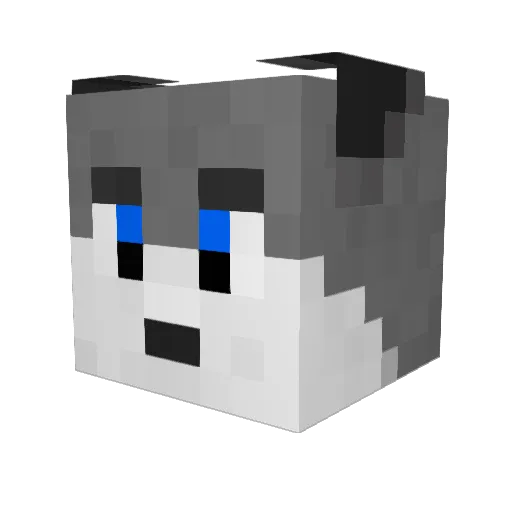 redrangerboy Minecraft avatar head, 3D render