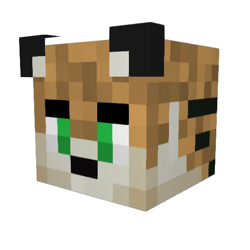 redrocket885 Minecraft avatar head, 3D render