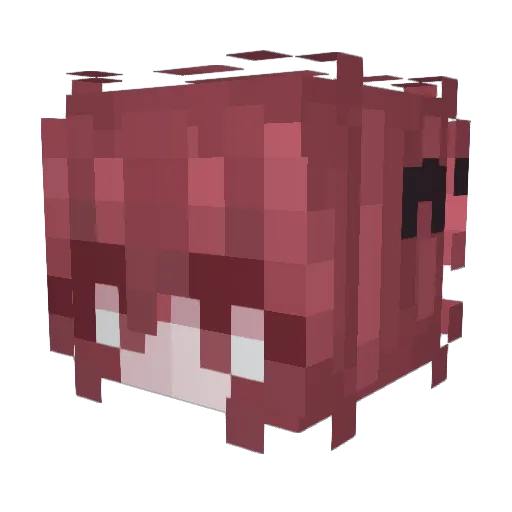 redsen02 Minecraft avatar head, 3D render