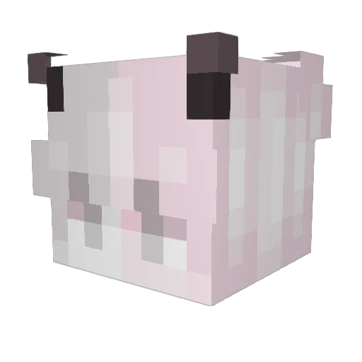 redskittle120 Minecraft avatar head, 3D render