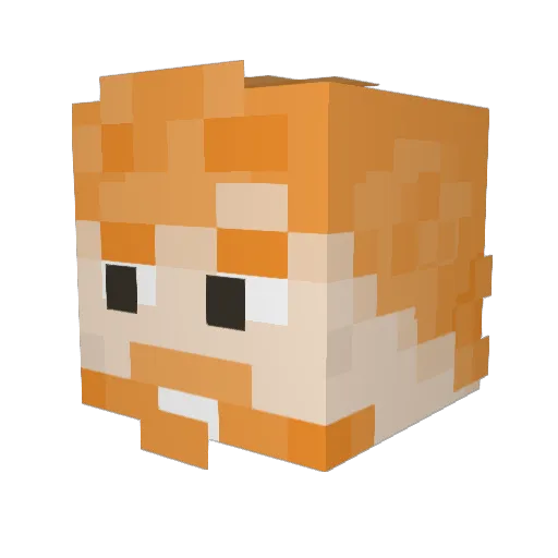 redsquirrelftw Minecraft avatar head, 3D render